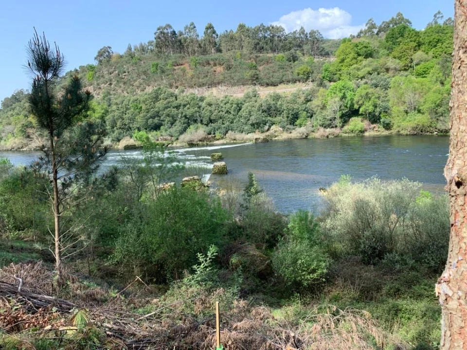 Quinta T10 para Venda em Prado e Remoães Foto 18