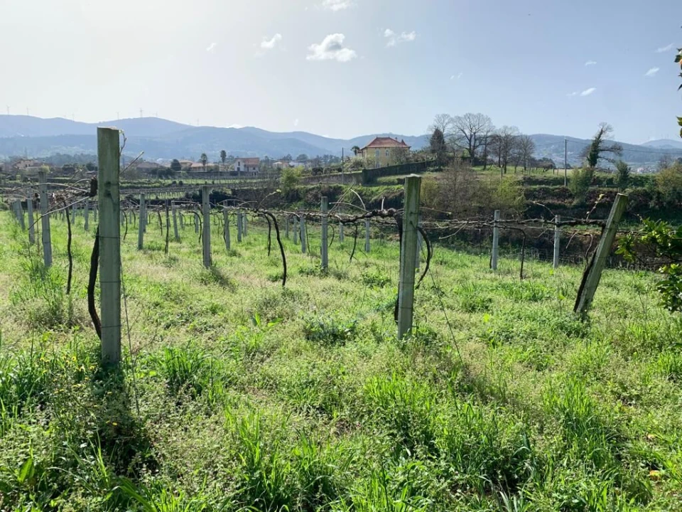 Quinta T10 para Venda em Prado e Remoães Foto 22