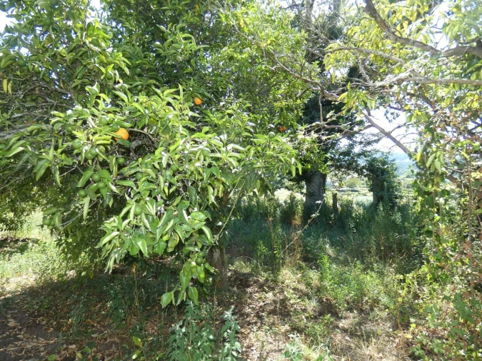 Quinta T10 para Venda em Prado e Remoães Foto 16