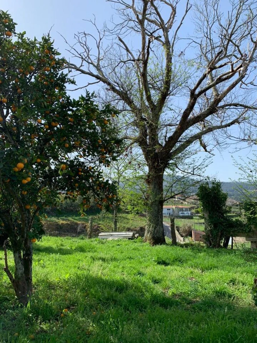 Quinta T10 para Venda em Prado e Remoães Foto 21