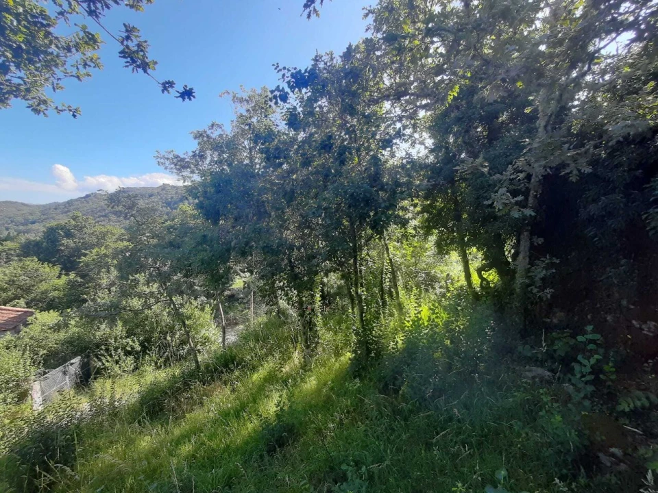 Moradia T2 para Venda em Castro Laboreiro e Lamas de Mouro Foto 7