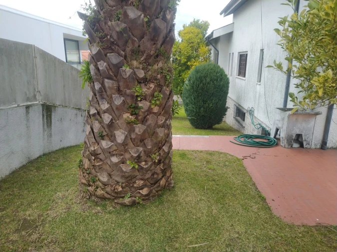 Moradia T4 para Venda em Nogueira, Fraião e Lamaçães Foto 28