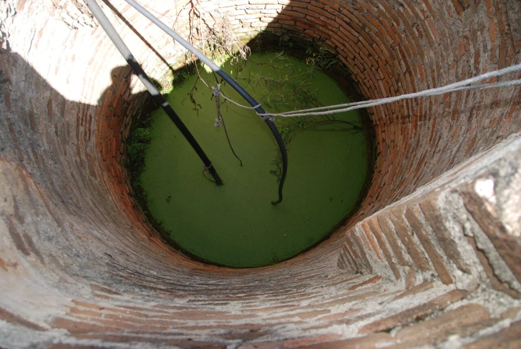 Armazém para Venda em Ponte de Sor, Tramaga e Vale de Açor Foto 21