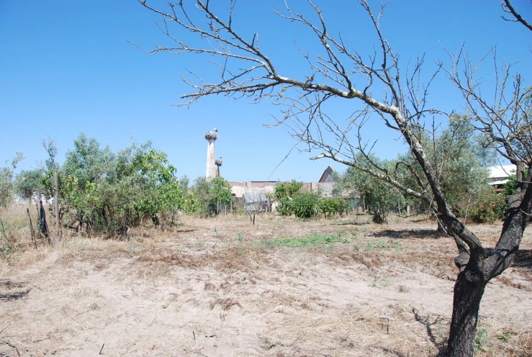 Armazém para Venda em Ponte de Sor, Tramaga e Vale de Açor Foto 22
