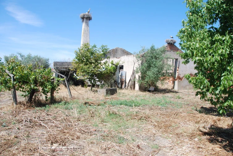 Armazém para Venda em Ponte de Sor, Tramaga e Vale de Açor Foto 23