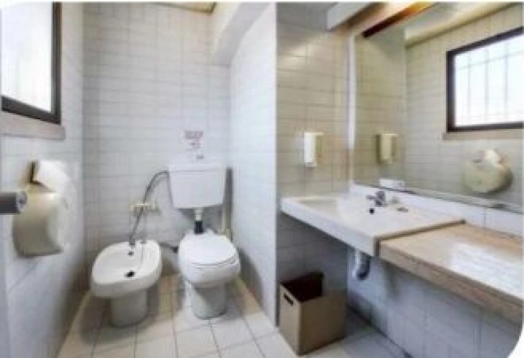 Loja para Venda em São Miguel do Rio Torto e Rossio Ao Sul do Tejo Foto 3