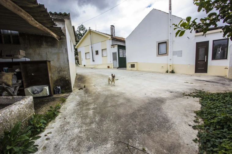 Moradia T4 para Venda em Parceiros e Azoia Foto 14