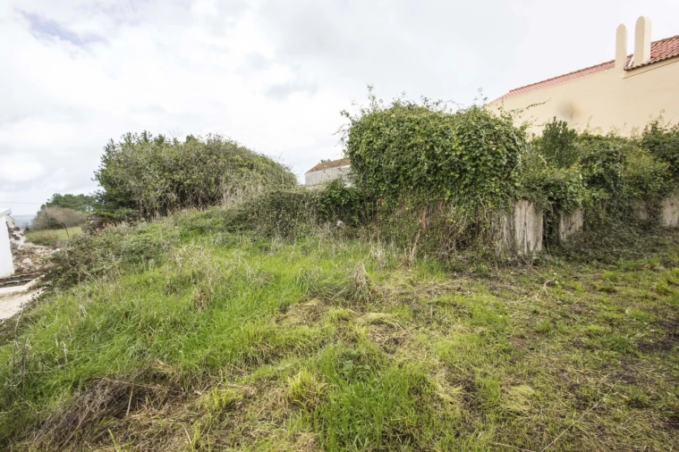 Moradia T3 para Venda em Alcobaça e Vestiaria Foto 5