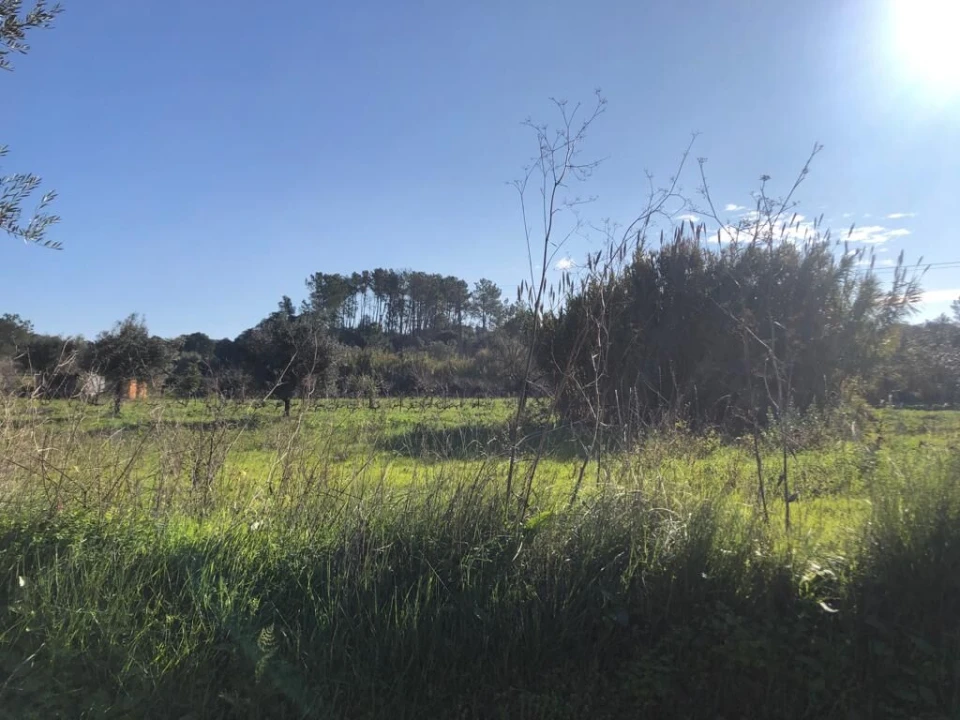 Terreno para Venda em Olaia e Paço Foto 8