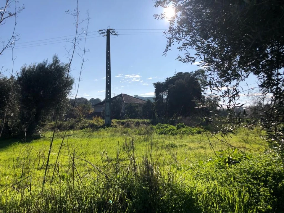 Terreno para Venda em Olaia e Paço Foto 11