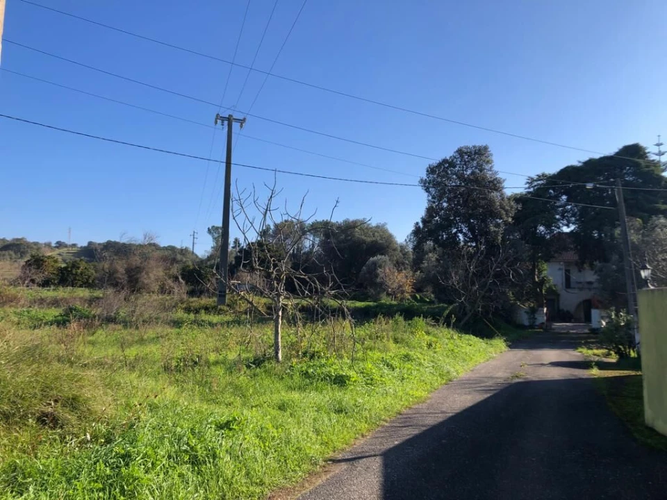 Terreno para Venda em Olaia e Paço Foto 17