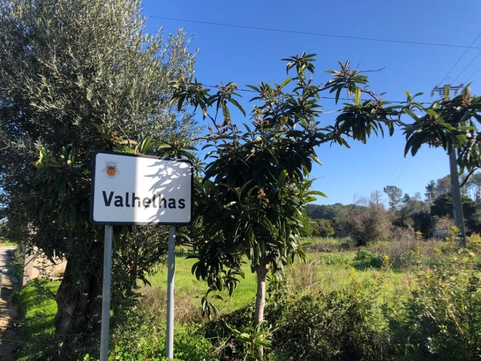 Terreno para Venda em Olaia e Paço Foto 19