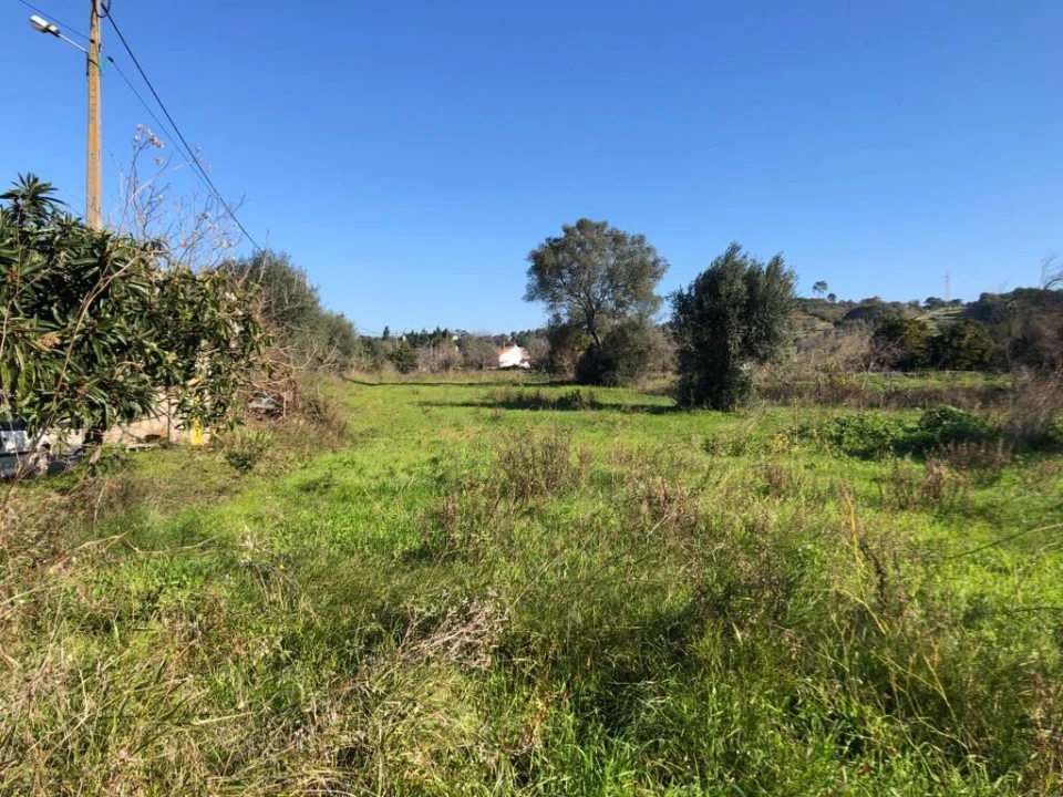 Terreno para Venda em Olaia e Paço Foto 21