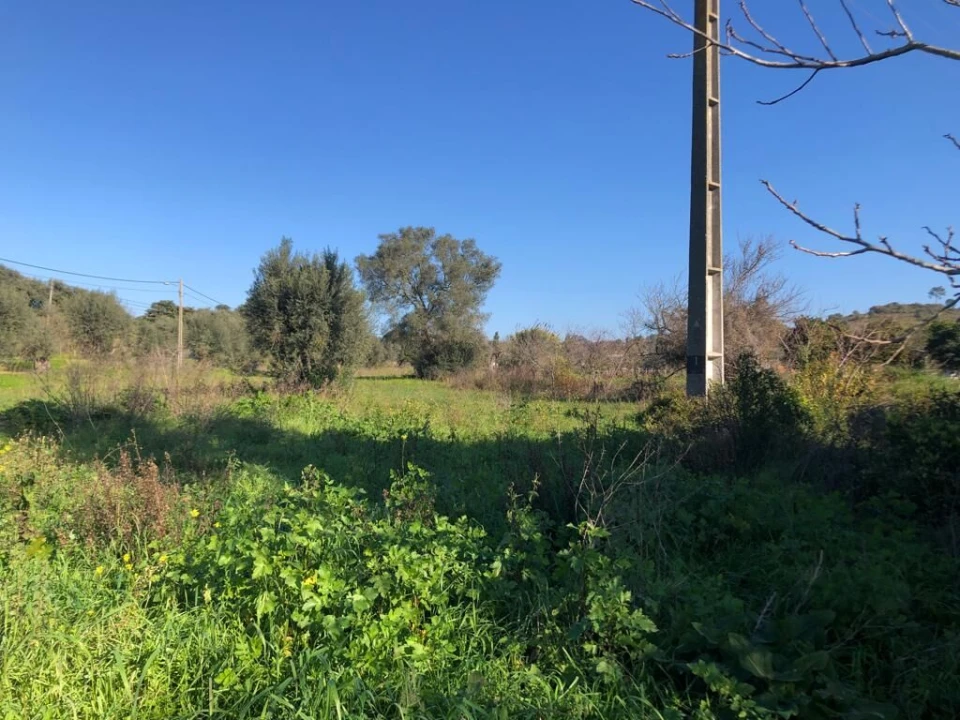 Terreno para Venda em Olaia e Paço Foto 23
