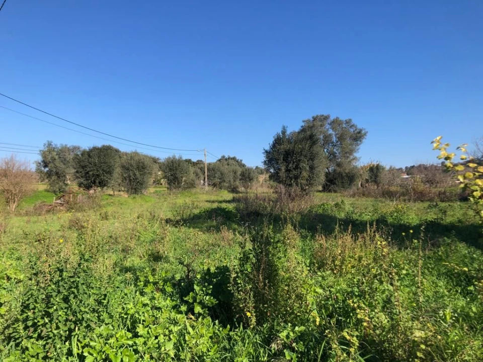 Terreno para Venda em Olaia e Paço Foto 25