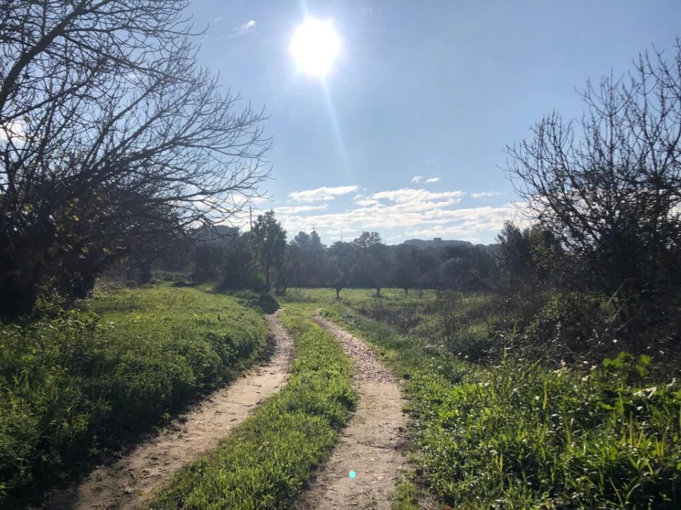 Terreno para Venda em Olaia e Paço Foto 29