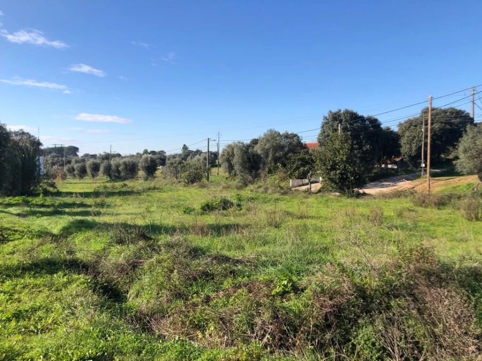 Terreno para Venda em Olaia e Paço Foto 31