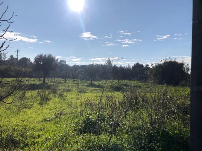 Terreno para Venda em Olaia e Paço Foto 2
