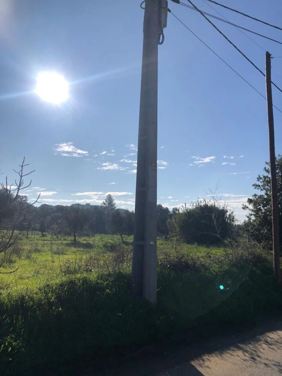 Terreno para Venda em Olaia e Paço Foto 3