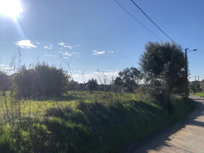 Terreno para Venda em Olaia e Paço Foto 5