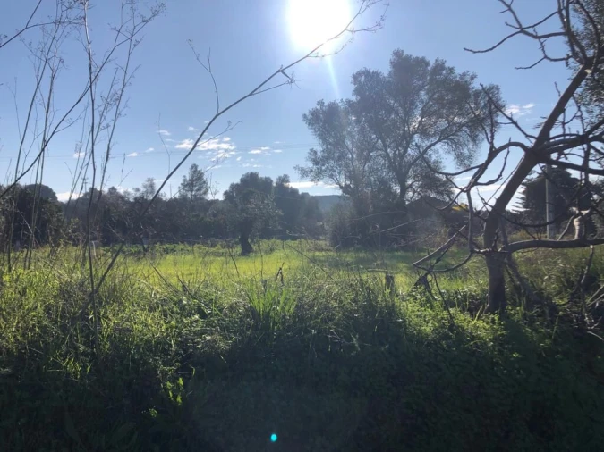 Terreno para Venda em Olaia e Paço Foto 7