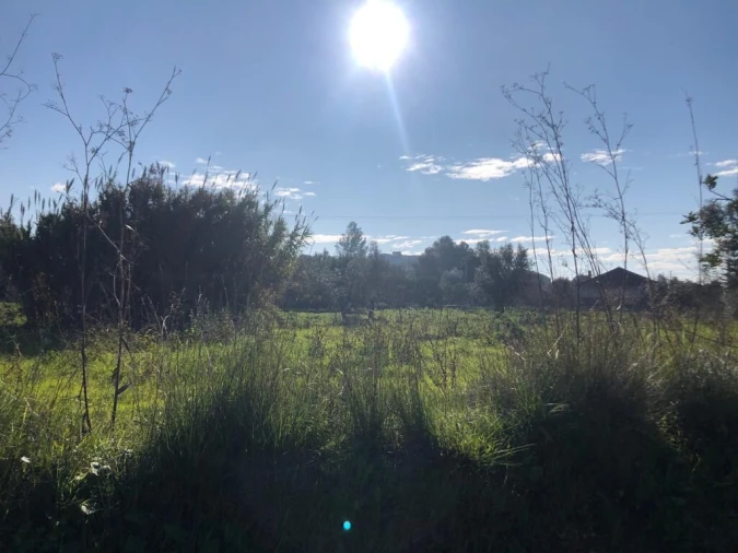 Terreno para Venda em Olaia e Paço Foto 9