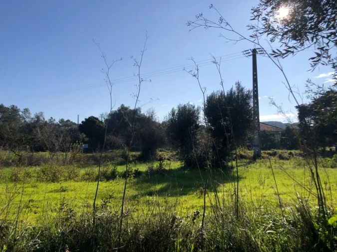 Terreno para Venda em Olaia e Paço Foto 10