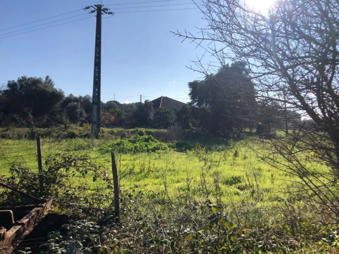 Terreno para Venda em Olaia e Paço Foto 13