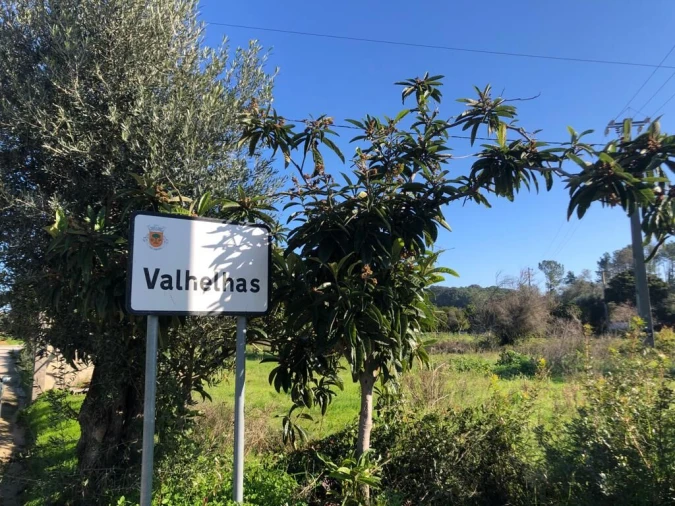 Terreno para Venda em Olaia e Paço Foto 19