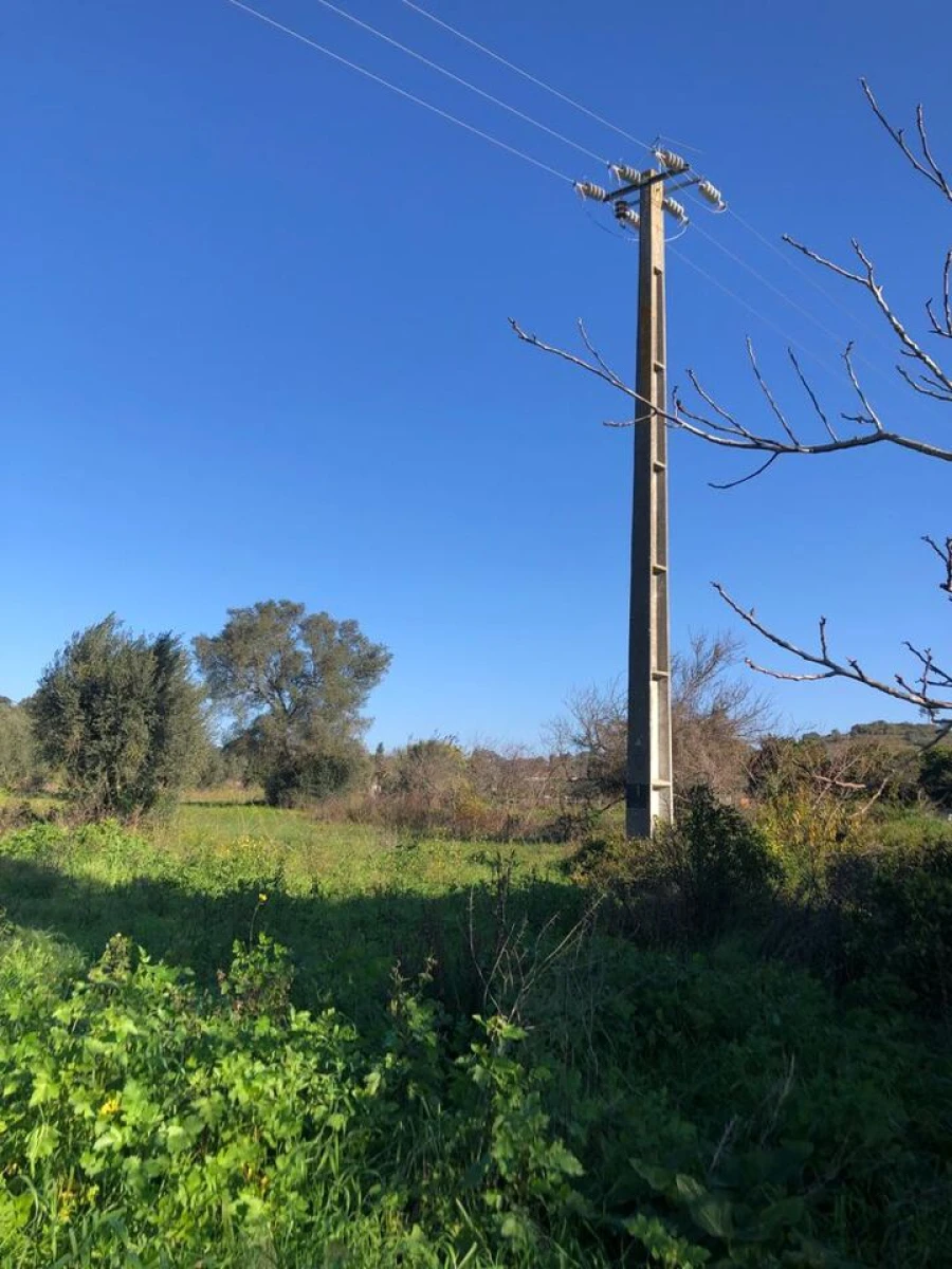 Terreno para Venda em Olaia e Paço Foto 22