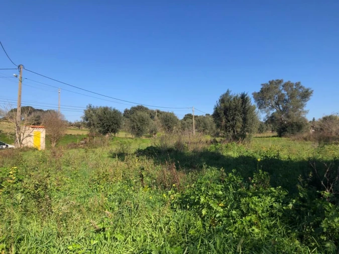 Terreno para Venda em Olaia e Paço Foto 24