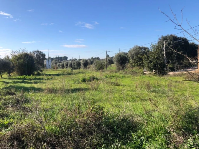 Terreno para Venda em Olaia e Paço Foto 27