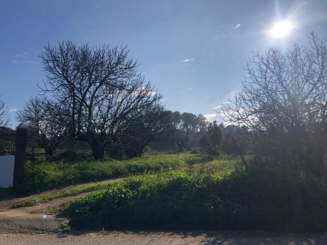 Terreno para Venda em Olaia e Paço Foto 28