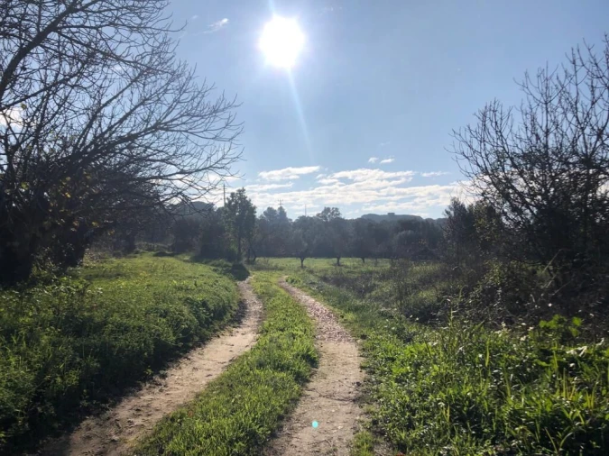 Terreno para Venda em Olaia e Paço Foto 29