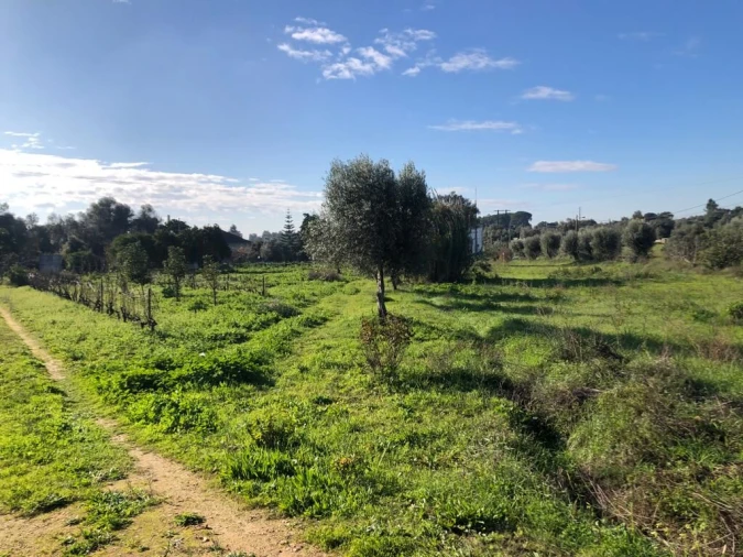 Terreno para Venda em Olaia e Paço Foto 30