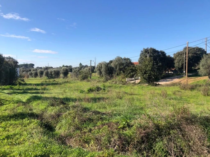 Terreno para Venda em Olaia e Paço Foto 31