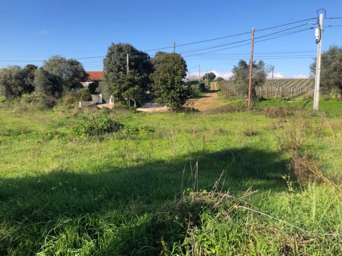 Terreno para Venda em Olaia e Paço Foto 32