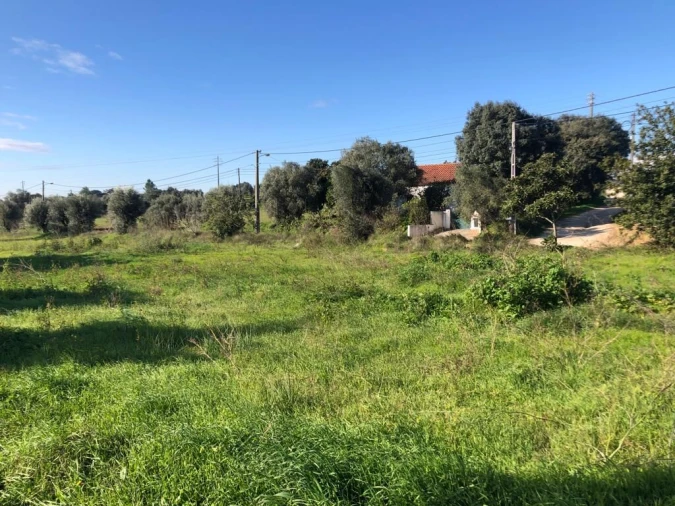 Terreno para Venda em Olaia e Paço Foto 33