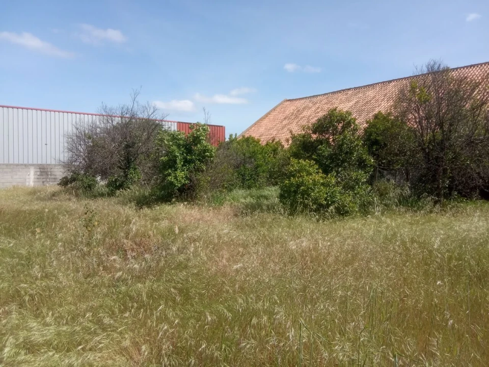 Armazém para Venda em Ponte de Sor, Tramaga e Vale de Açor Foto 23