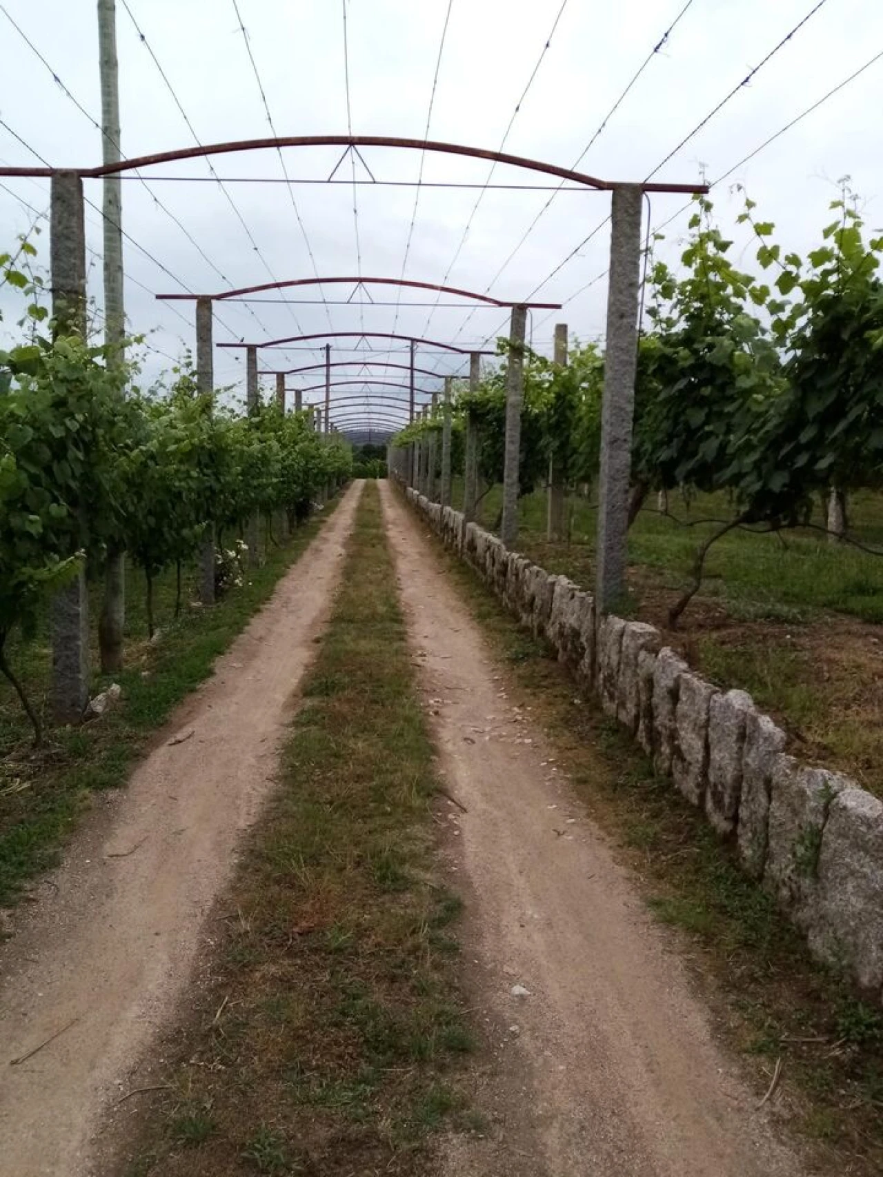 Quinta T0 para Venda em Monção e Troviscoso Foto 4