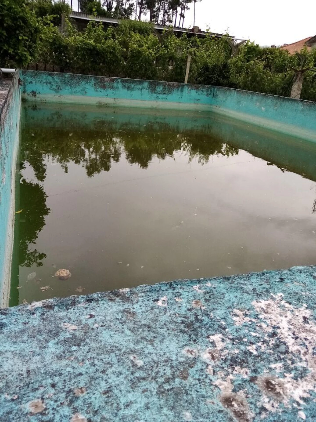 Quinta T0 para Venda em Monção e Troviscoso Foto 6