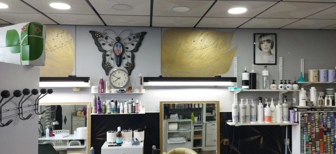 Loja para Venda em Santiago e São Simão de Litém e Albergaria dos Doze Foto 8