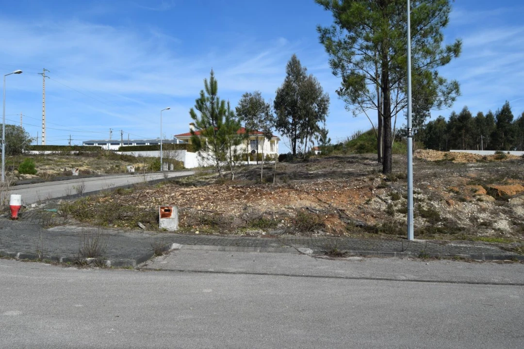 Terreno para Venda em Santiago e São Simão de Litém e Albergaria dos Doze Foto 3