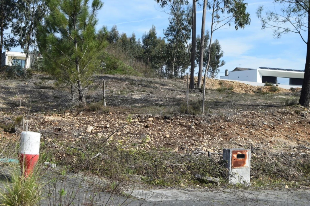 Terreno para Venda em Santiago e São Simão de Litém e Albergaria dos Doze Foto 4