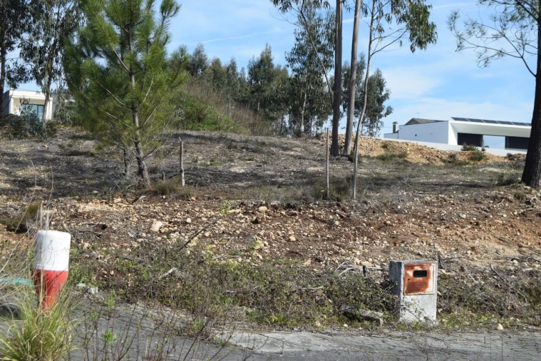 Terreno para Venda em Santiago e São Simão de Litém e Albergaria dos Doze Foto 4