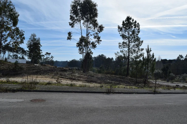 Terreno para Venda em Santiago e São Simão de Litém e Albergaria dos Doze Foto 5