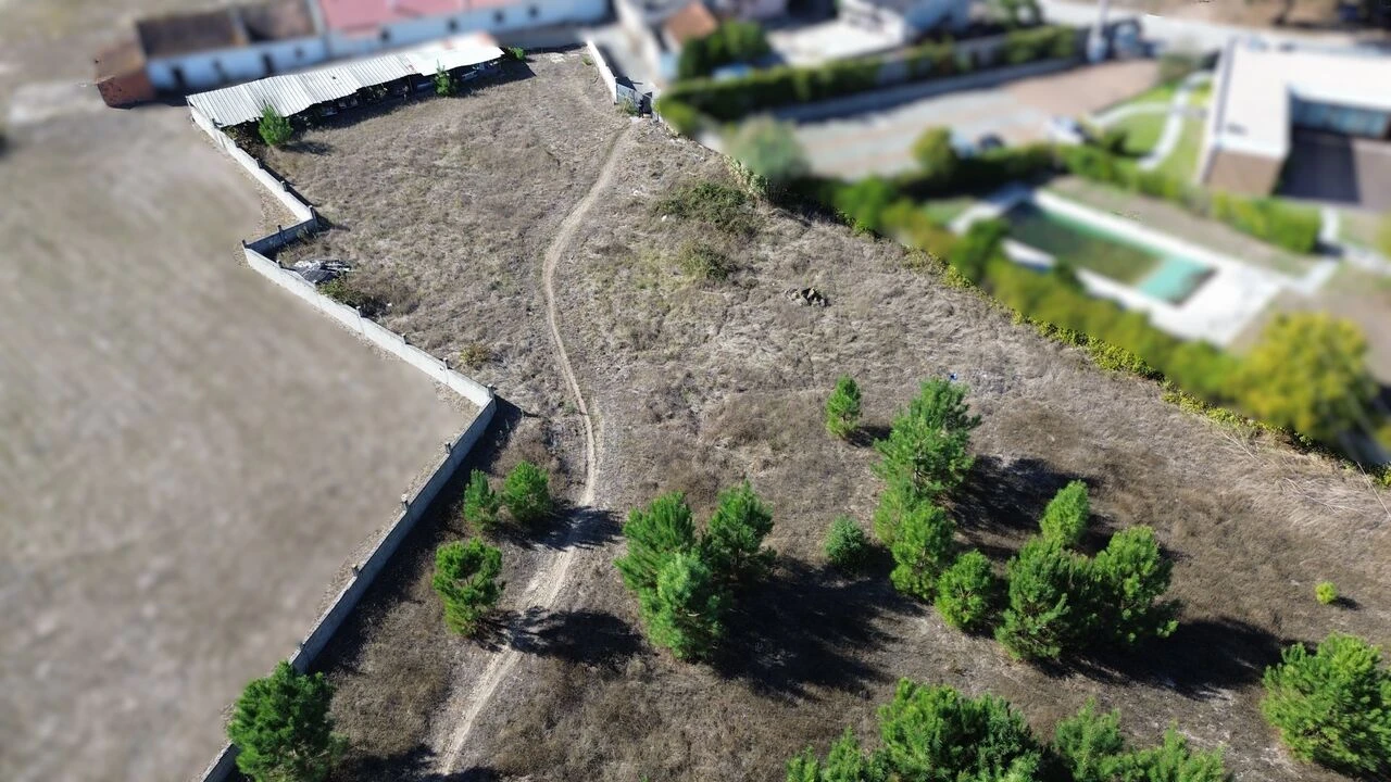 Terreno para Venda em Monte Redondo e Carreira Foto 3