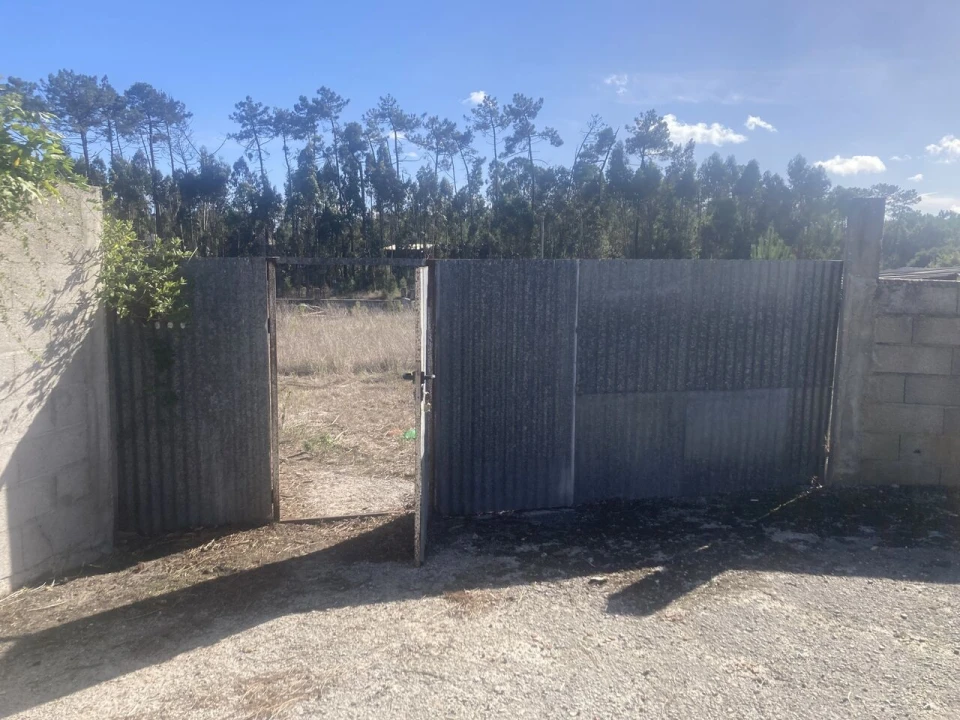 Terreno para Venda em Monte Redondo e Carreira Foto 5