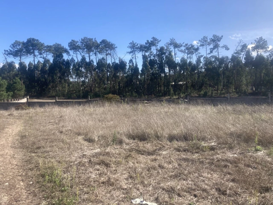 Terreno para Venda em Monte Redondo e Carreira Foto 7