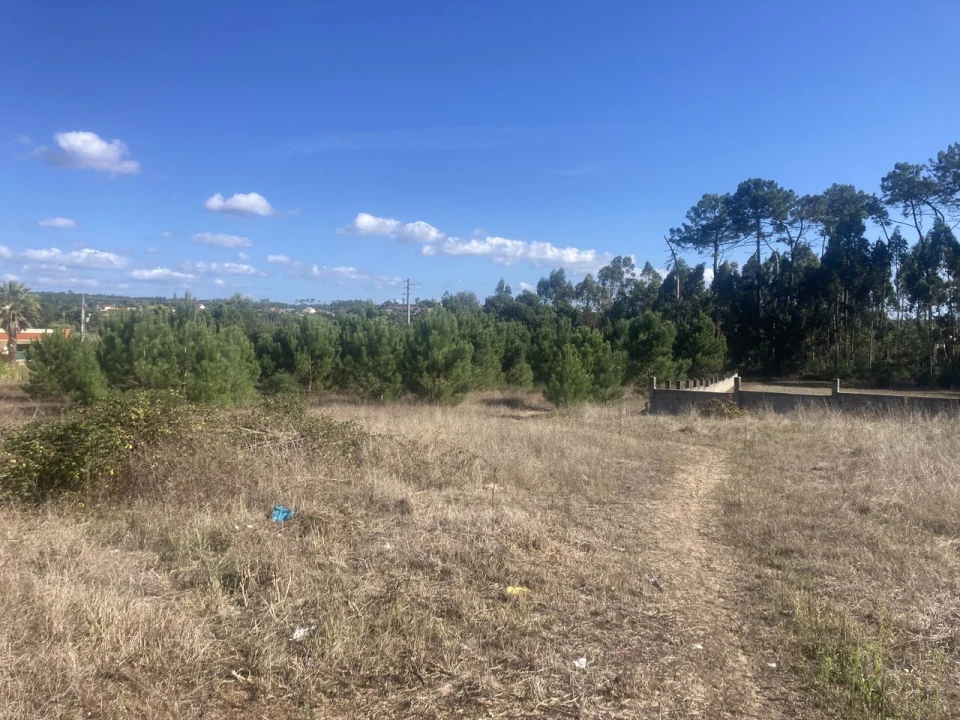 Terreno para Venda em Monte Redondo e Carreira Foto 8